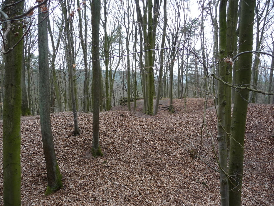 Mtb Aurach-Fembachtal Runde