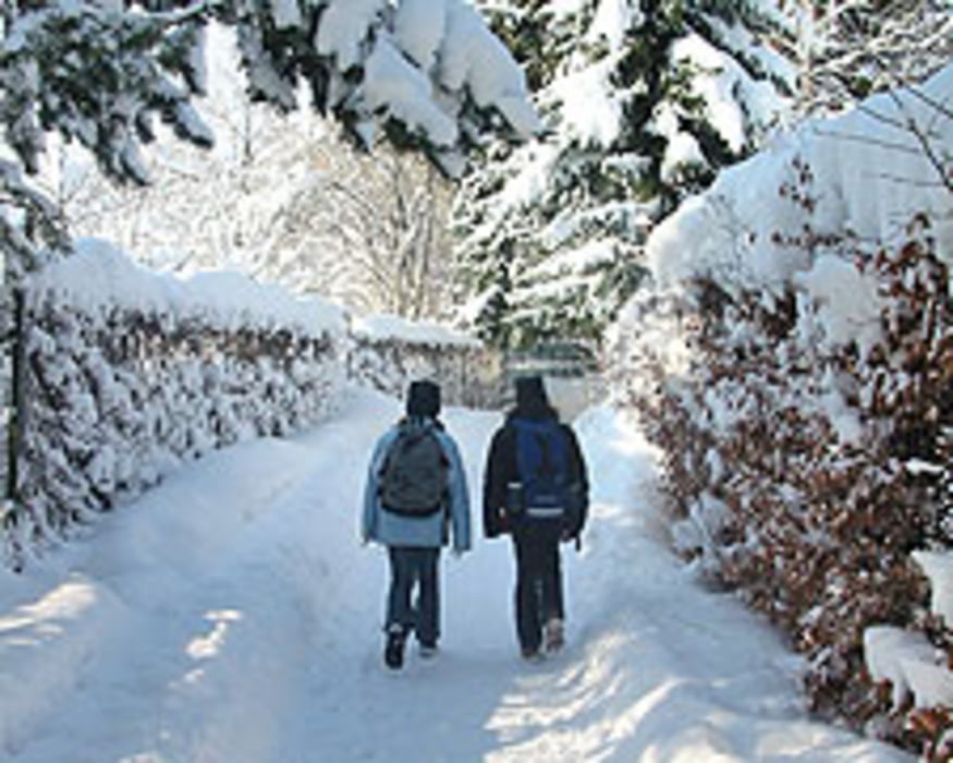 Winterwanderweg: Haslacher Rundumweg