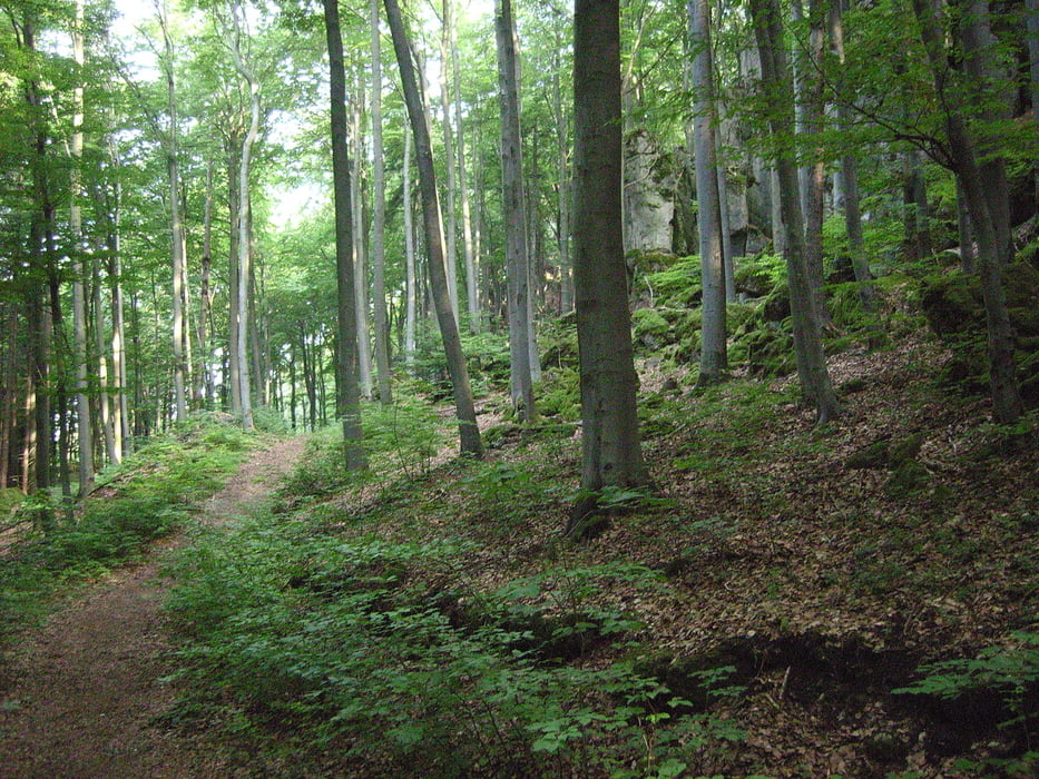 Hiltpoltstein-Trubachtal