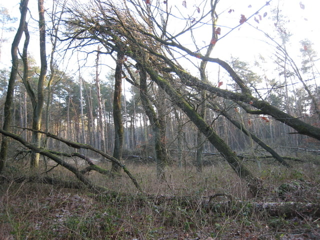 Haard Runde von St. Johannes aus zum Brinksknapp