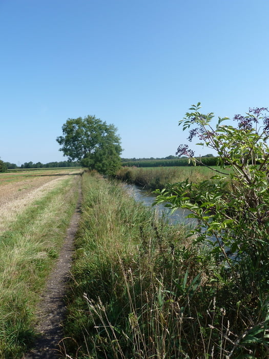 Englschalking bis Speichersee und zurück