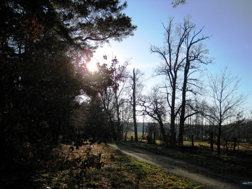 Joggen im Wald und im Allertal zwischen Klein Hehlen und Boye