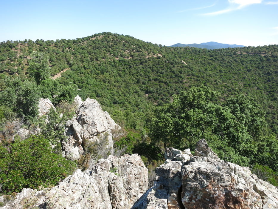 Grosse 8 oberhalb von La Londe