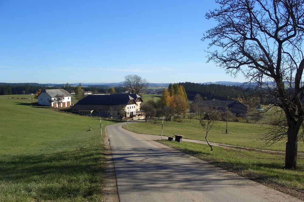 Zwettl an der Rodl Umgebung