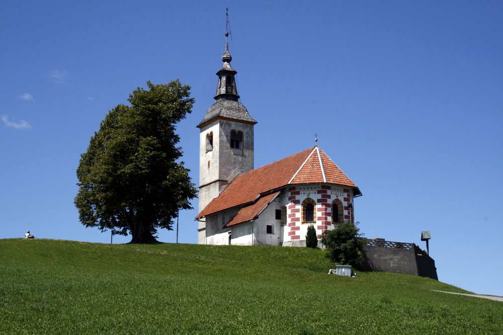Koreno iz Horjula (lažja pot)