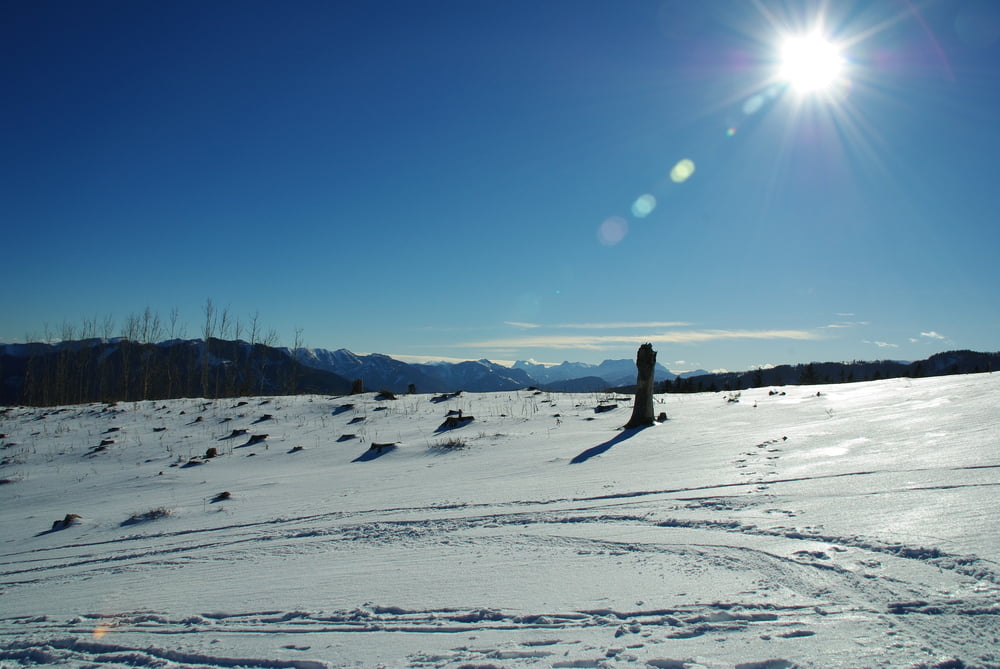 Freitag nachmittags Hohe Dirn-Runde