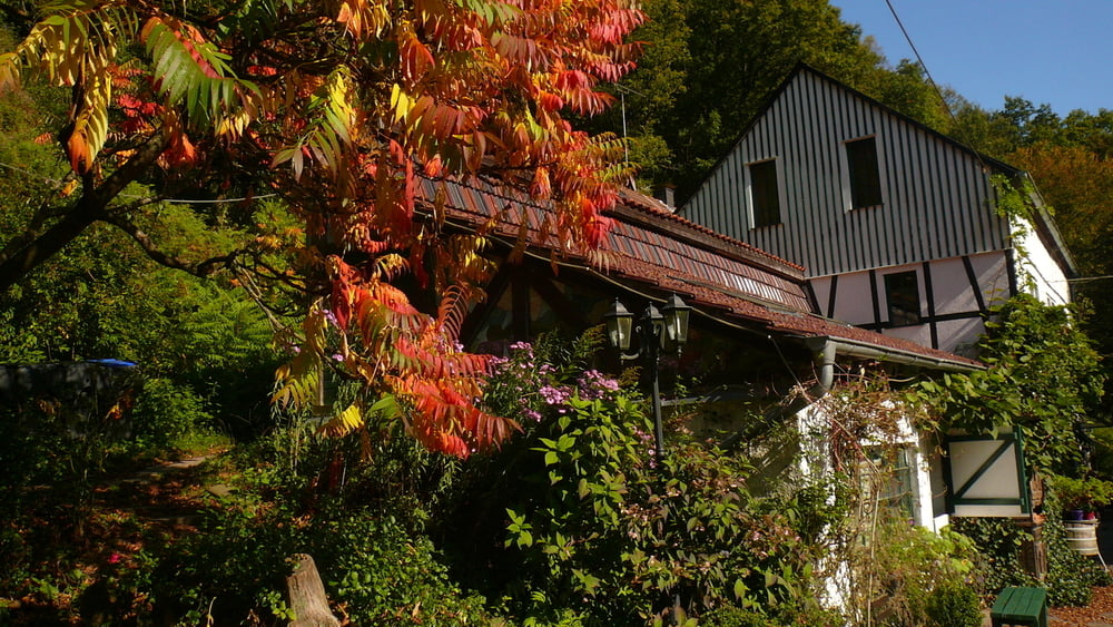 Zur Epscheider Mühle in Breckerfeld