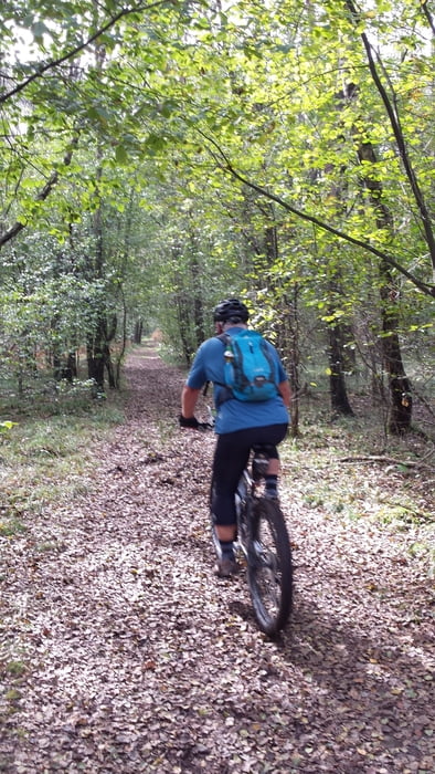 Zu den Quellen der Schwalm (erweiterte Tour)