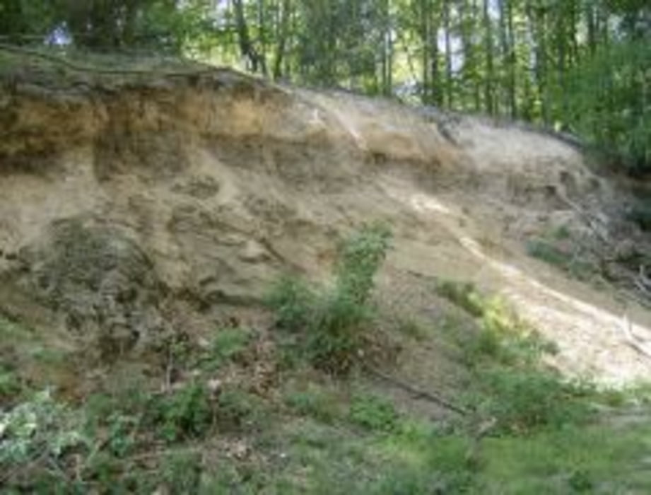 Mülheim Saarn/Auberg, Kettwig, Ratingen, Heilingenhaus, Duisburg Rundweg