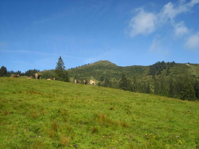 Grasgehren - Riedbergerhorn - Obermaiselstein