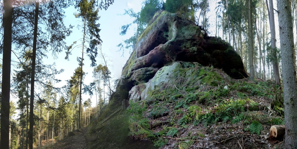 Der Seenländer -  von Wallersbach nach Walting