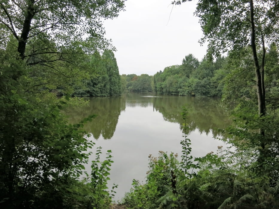 Thielenbruch - Bensberg, Etappe 8 Kölnpfad