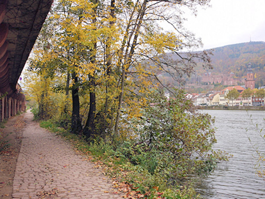 Spuren der Geschichte am Heidelberger Nordufer
