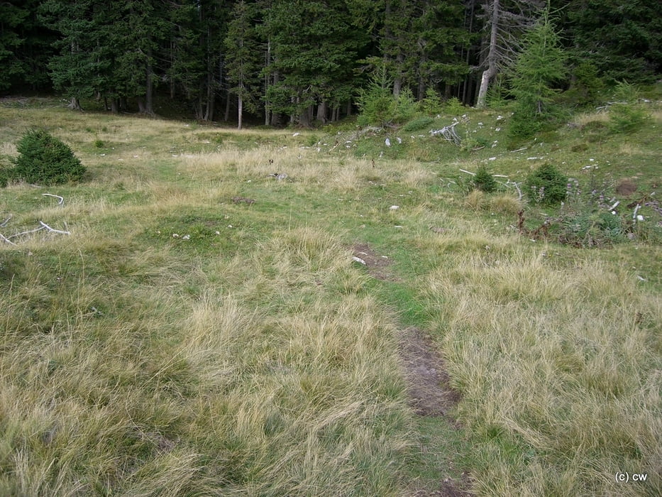 Dobratsch Rosstratten-ultimative-Abfahrt über Wanderwege