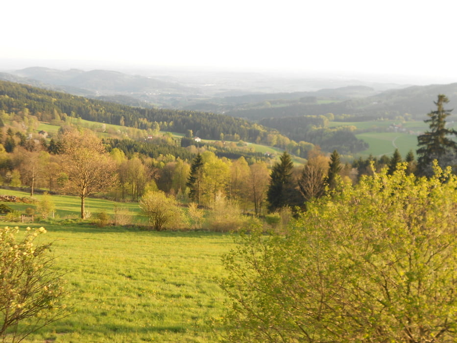 von Hunderdorf in den vorderen "Bayrischen Wald" August 2015