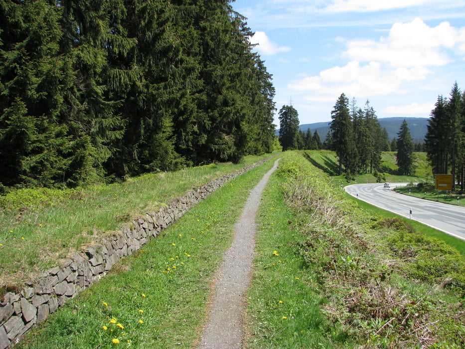 Harzer Hexenstieg 4 Tage gemütliche Tour