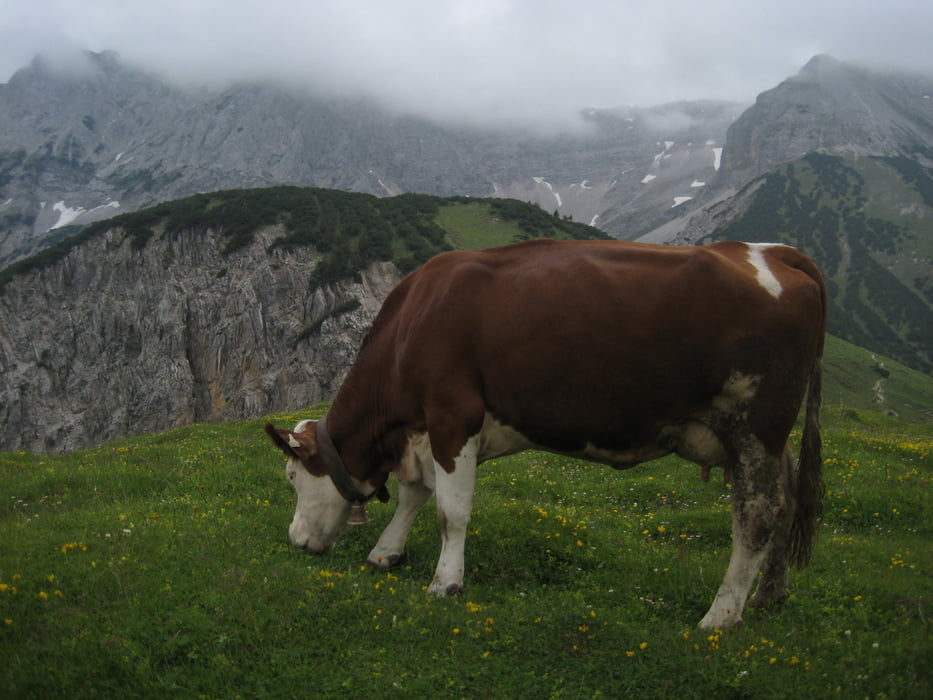 Schleimssattel/Plumsjoch/Eng