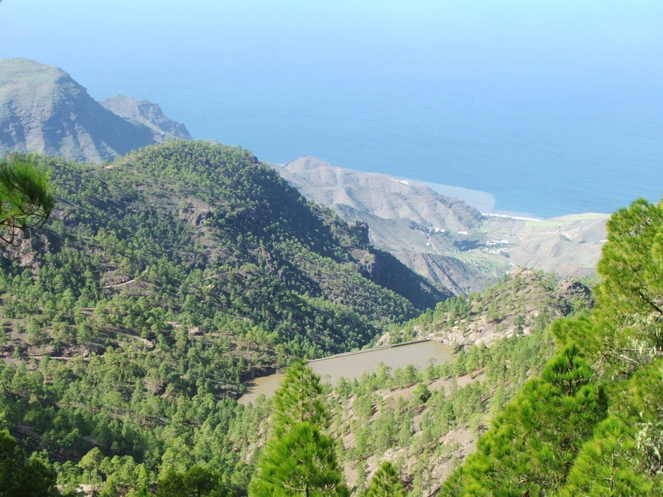 Gran Canaria: Tamadaba