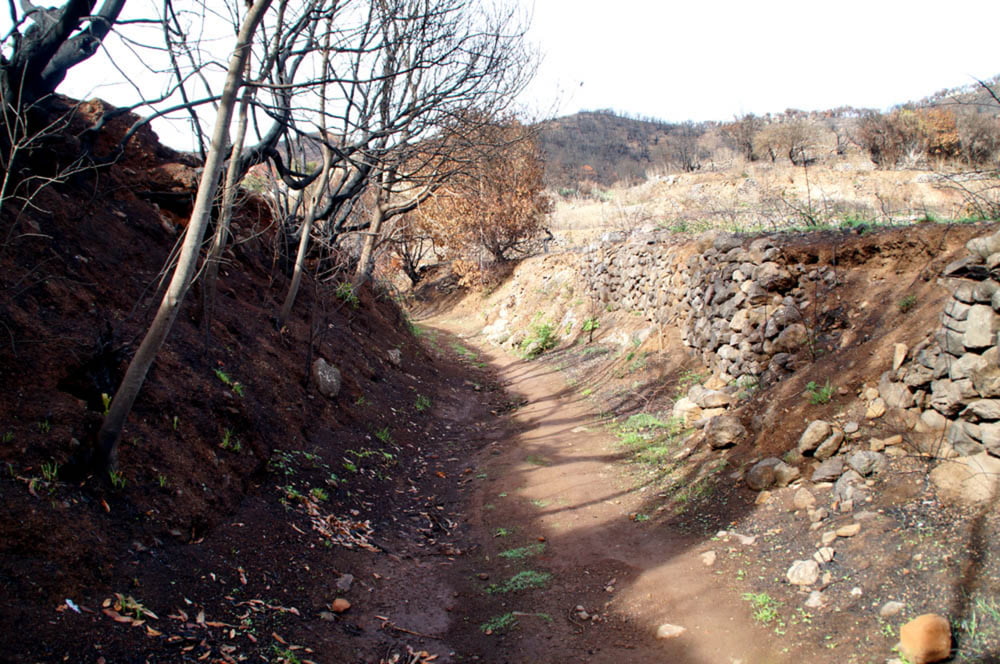 Teno-Trails zwischen Erjos und Las Portelas