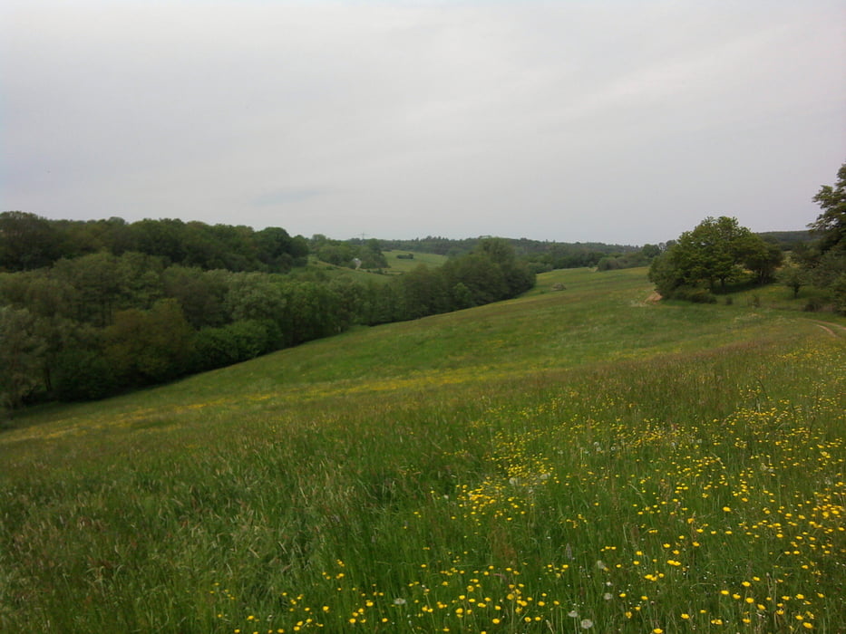 RW-Orenhofen-Auw-17km