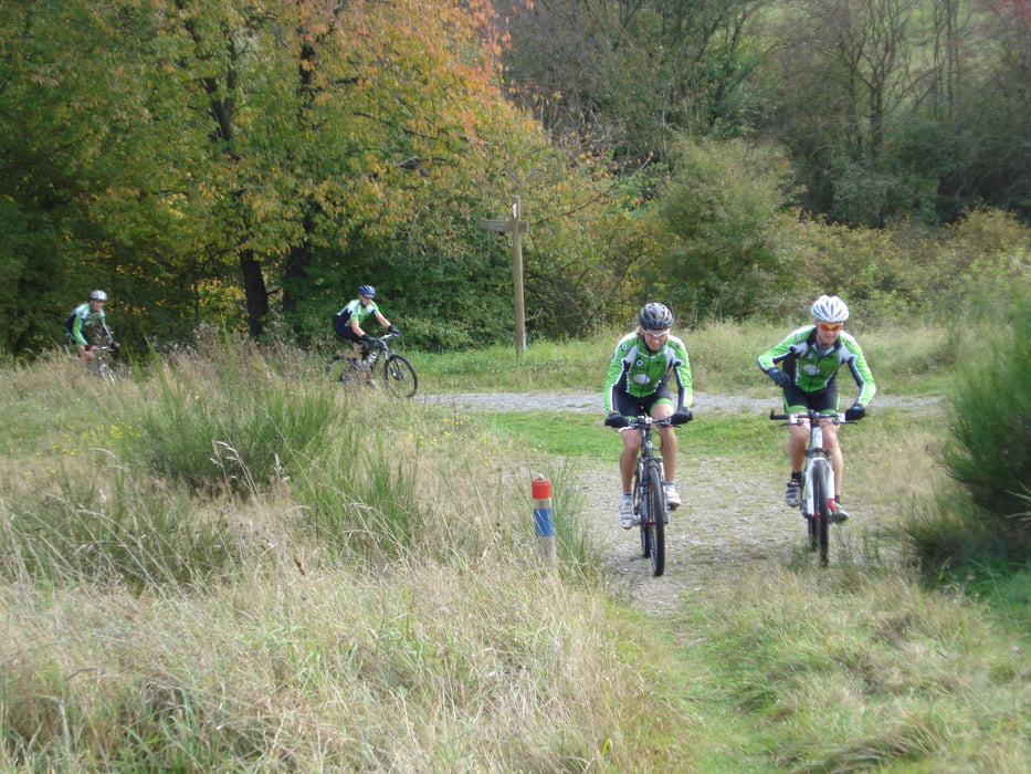 Kuddetour tussen Gemund en Hellenthal