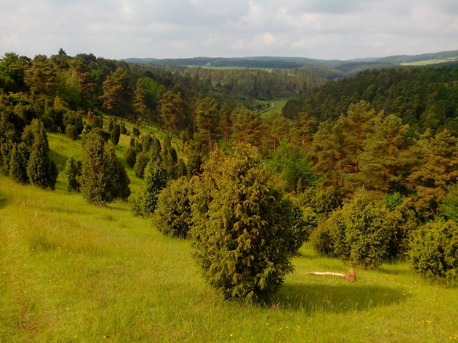 Das Alendorfer Büdchen im Lampertstal