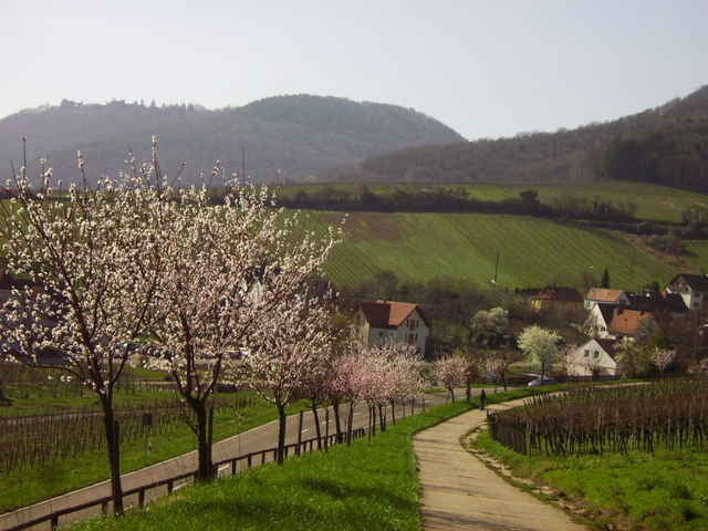 Burgentour mit glänzenden Aussichten
