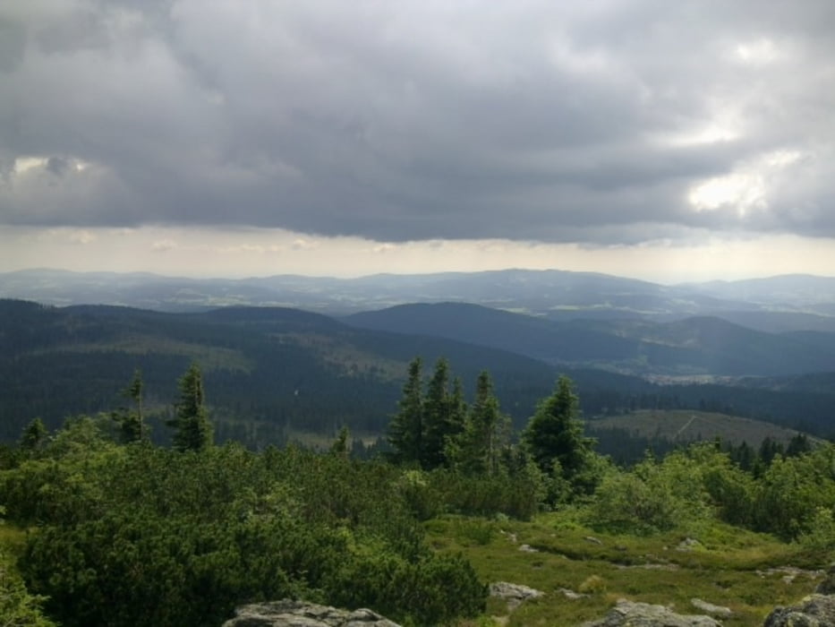 Lam - Großer Arber
