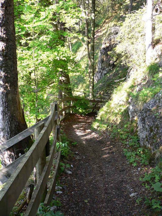 Ludescher Berg über Steinle nach Radin