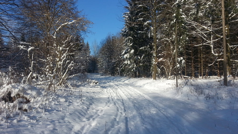 Wandern Franken: mit Schneeschuhen im Kreis Forchheim