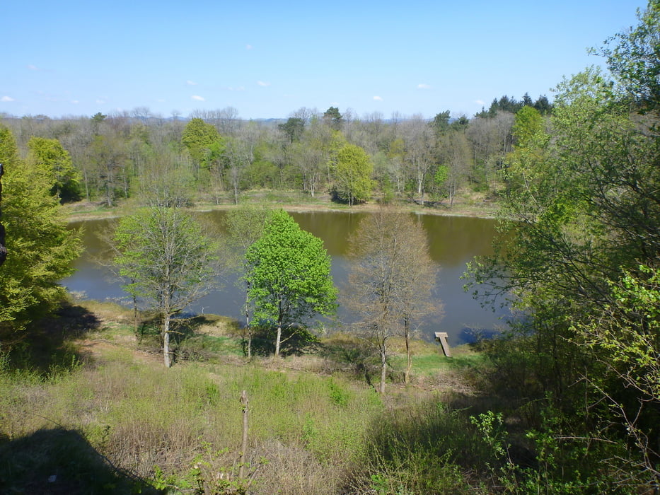 Rundweg Manderscheid - Windsborn Maar - Meerfelder Maar