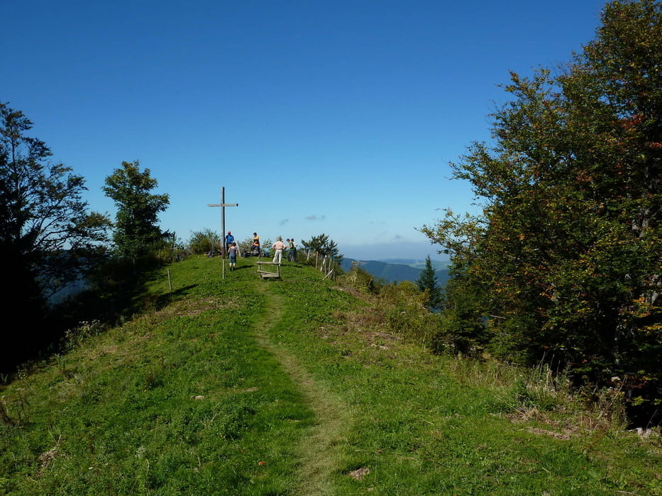 Gschwendtalm-Gamsstein