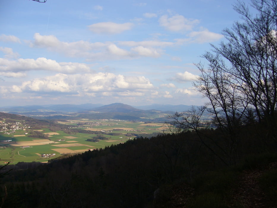 Roding-Roßhof