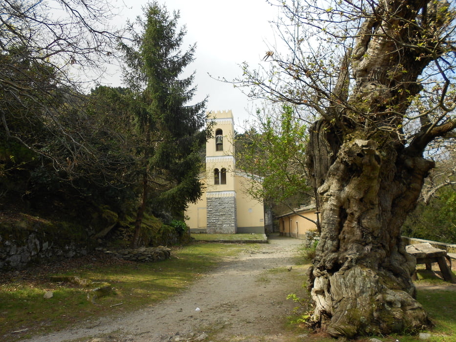 ANELLO della madonna del monte