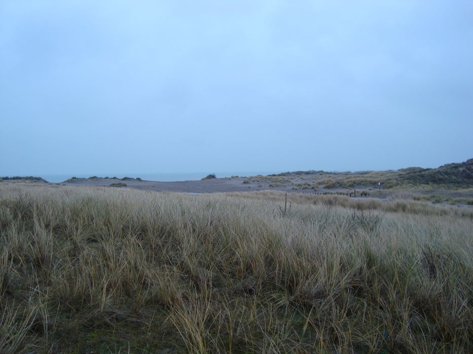 Lombardsijde - Nieuwpoort wandeling