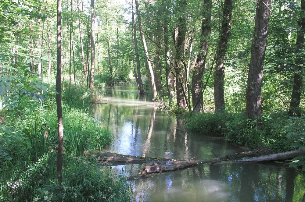 Von Unterföhring nach Mariabrunn (Ampermoching)