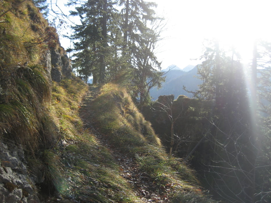 Hochfelln von Ruhpolding aus