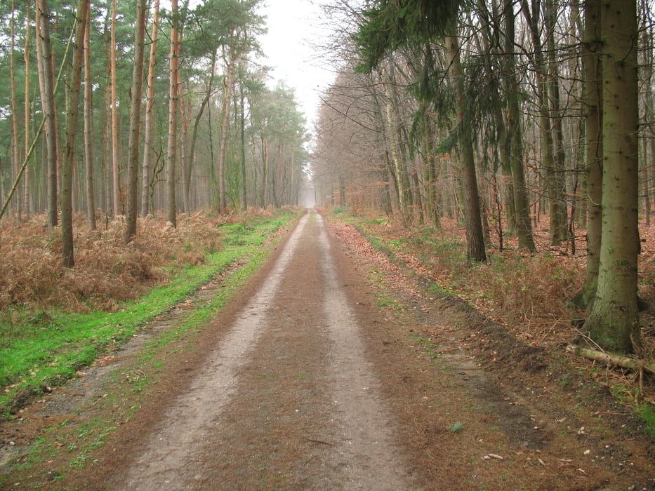 Herbsttour Reichswald