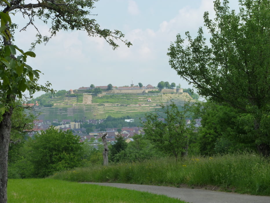 Hoher Asperg