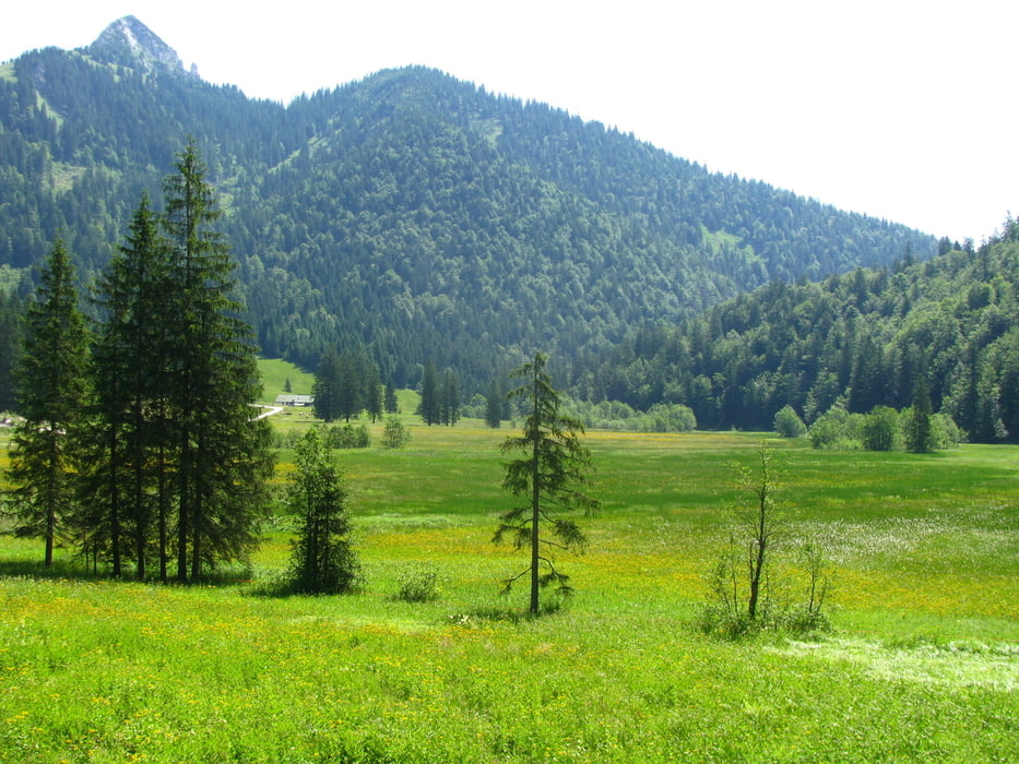 Bad Wiessee nach Lenggries, Hirschtalsattel und Röhrelmoos mit Roßsteinsattel