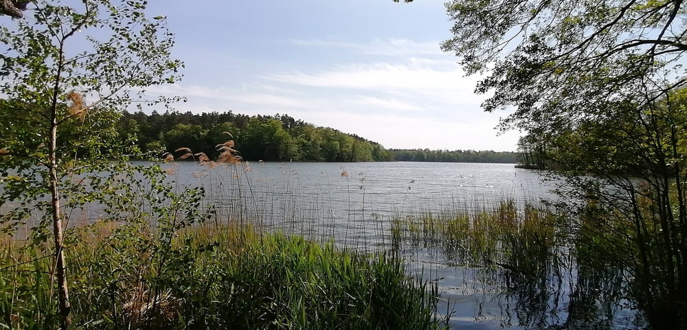 375. Summt, 4 Seen Tour, Summter See, Summter Karpfenteich, Mühlenbecker See und Mühlenteich 