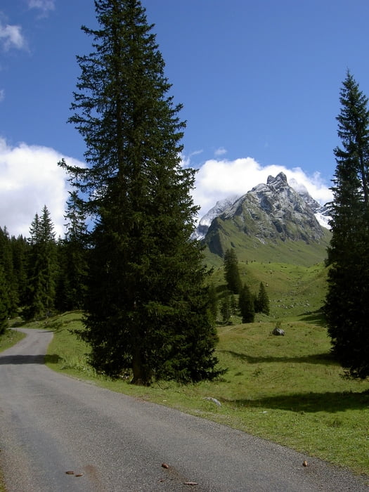 Marul Laguzalpe Oberpartnomalpe Sterisalpe Marul