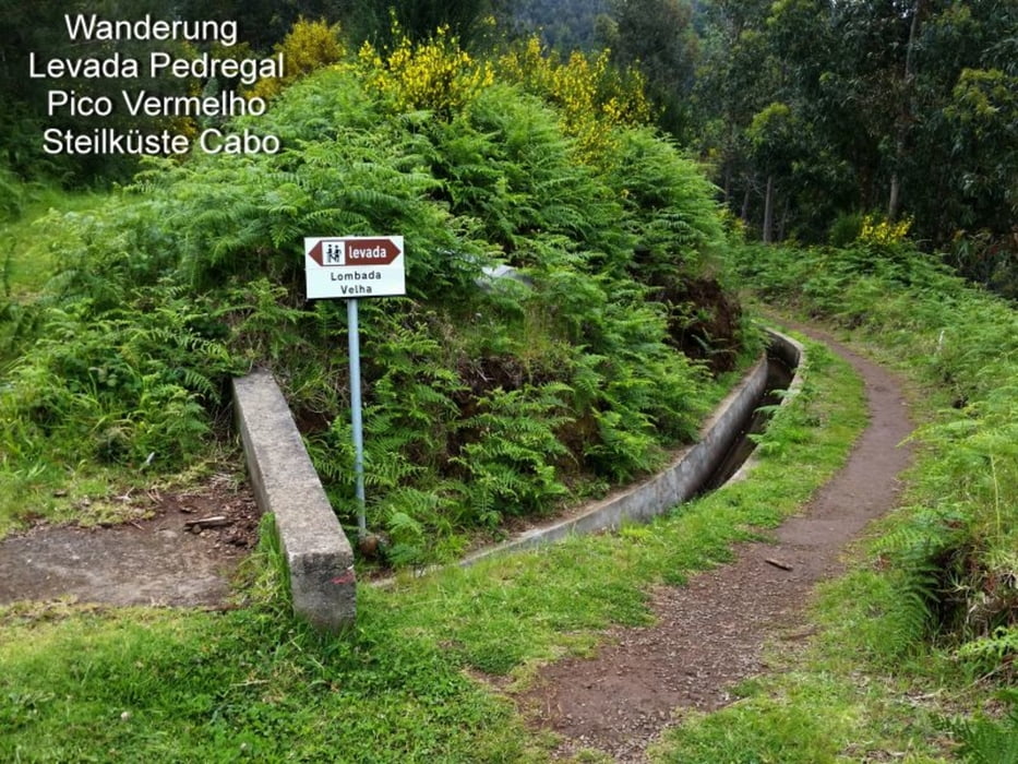 Wanderung Levada Pedregal