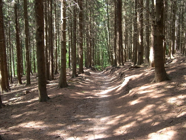The Long Road Out Of Eden Tour 