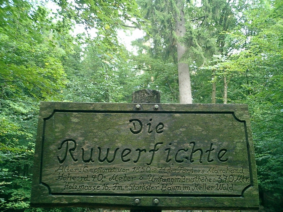 Hermeskeil Single Trails bis zum Keller See 