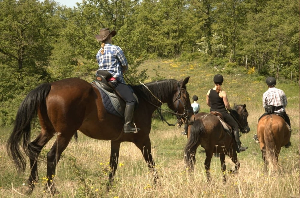 Horseback Riding in Tuscany - farm Filetto