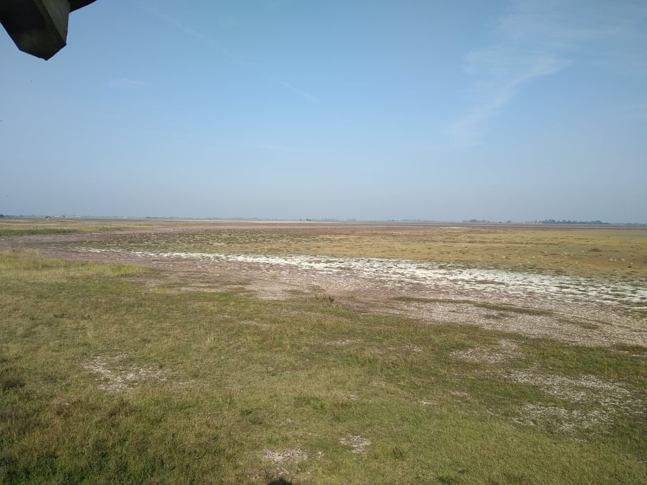Gols Lacken-Radweg Gols