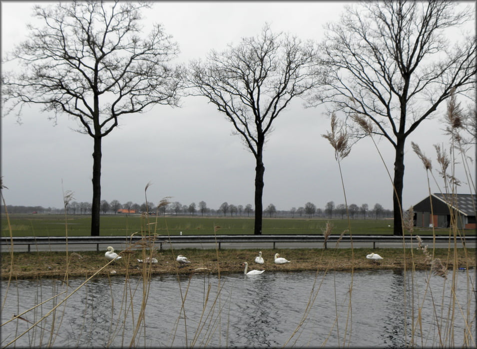 Rondwandeling Heibloem