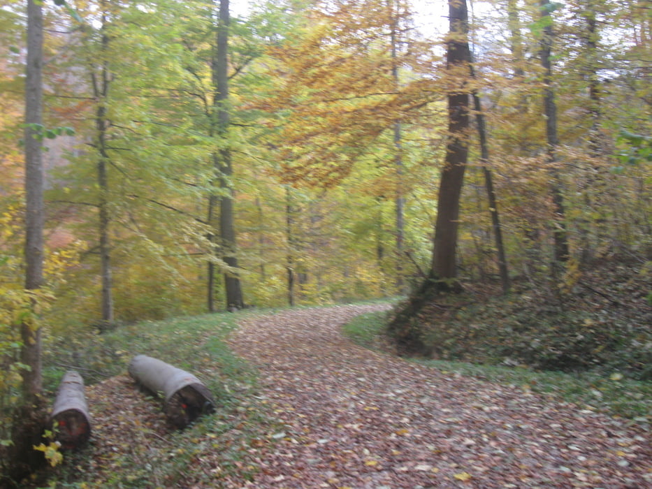 Goldener Oktober - Traumtour