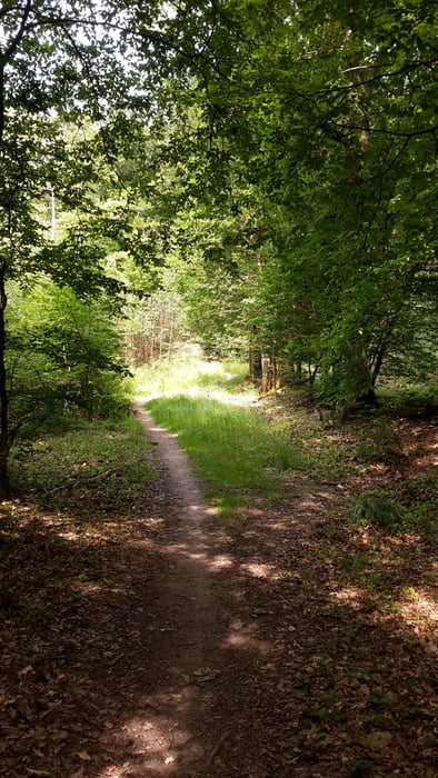 Erda-Altenberg_Odenhausen-Kirchvers-Erda